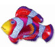 Рыбка-Клоун / Cloun-fish